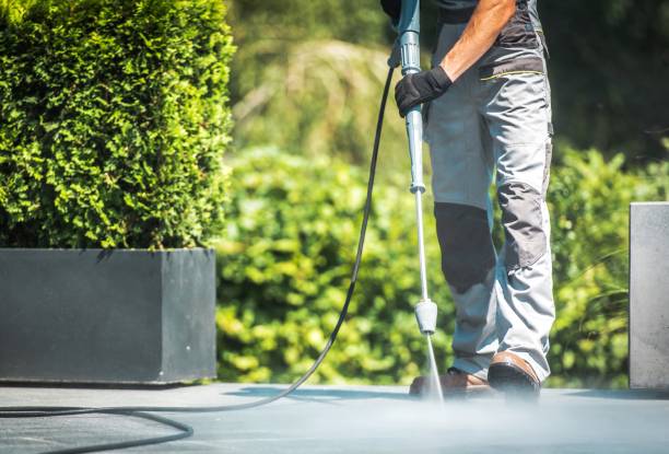Best Brick and Stone Cleaning in Novato, CA